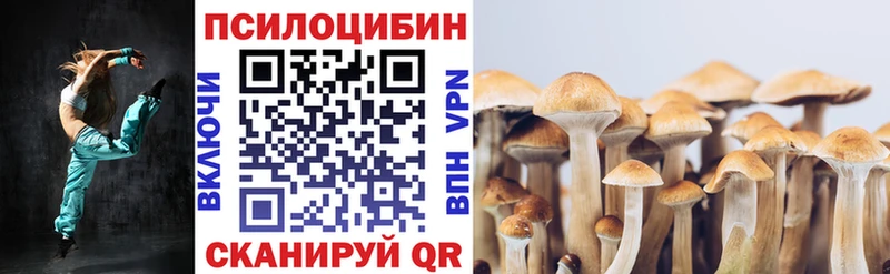 Псилоцибиновые грибы прущие грибы Избербаш